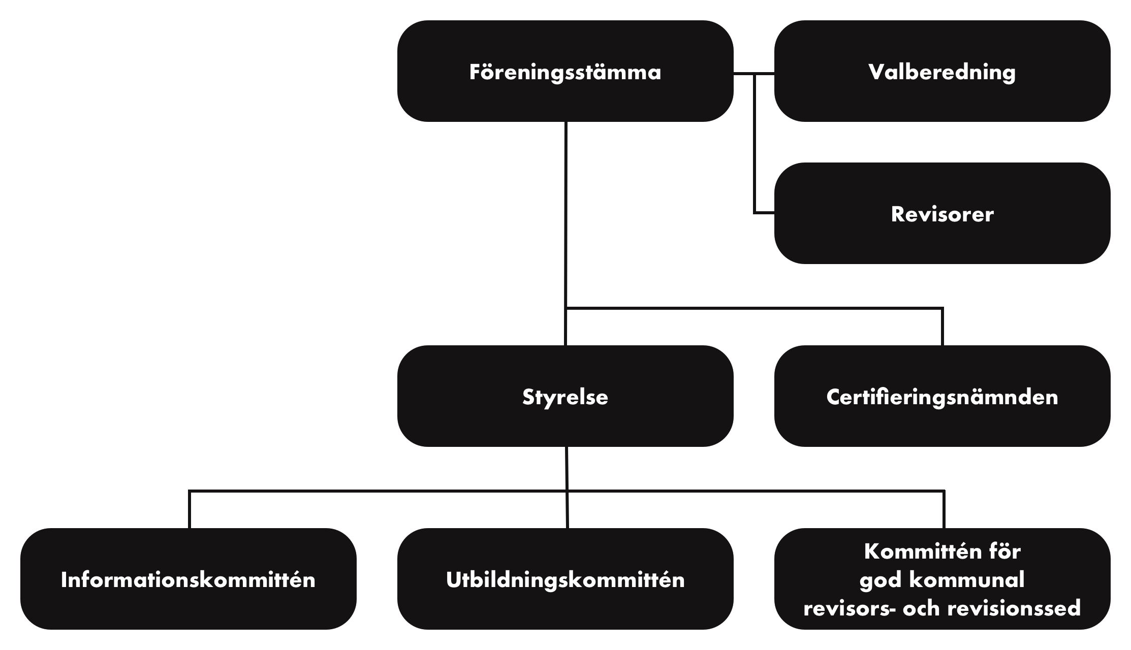 Organisationsschema för Skyrev.